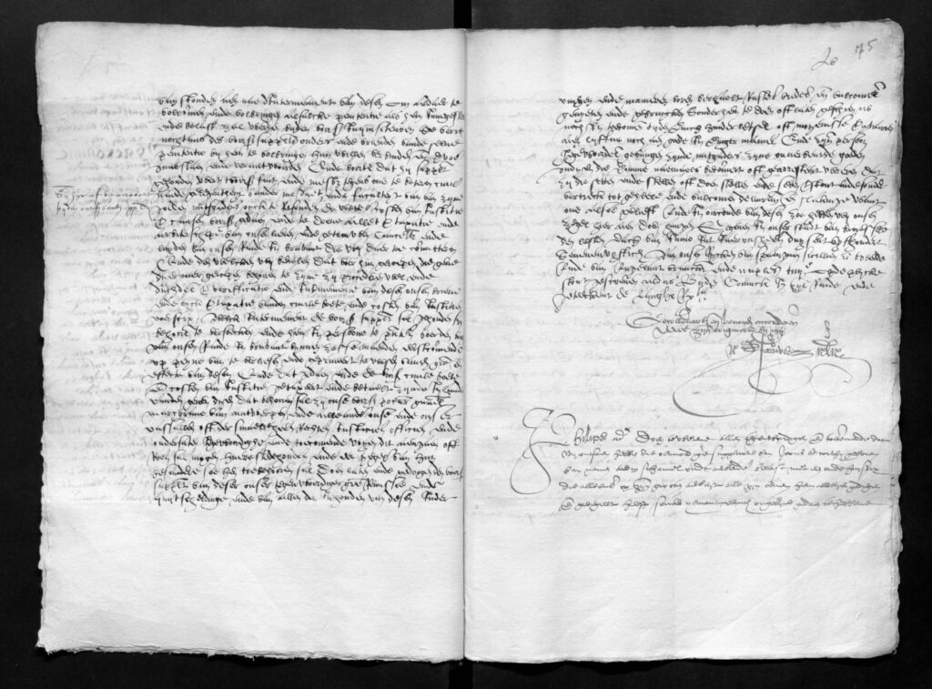 Letter of grace for Herman van Leeuwe (June 1557)