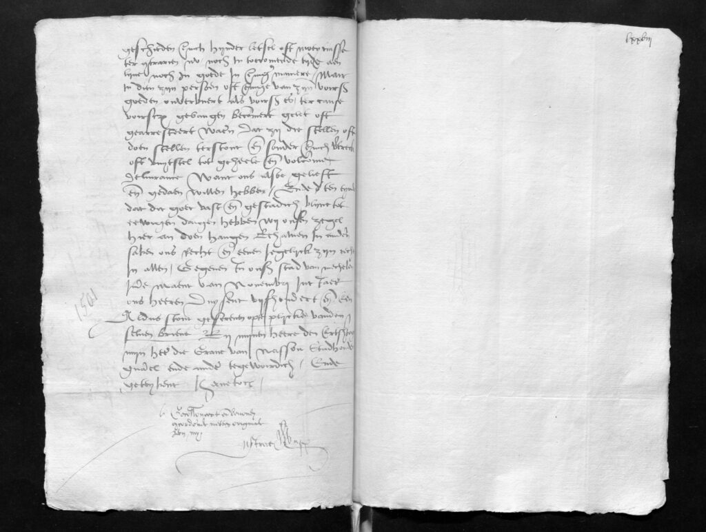 Letter of grace for Gielis vanden Vyvere (November 1501)